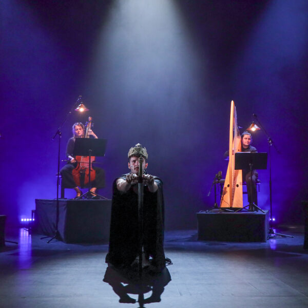 Visuel spectacle famille La quête de Merlin © Ph Bréard