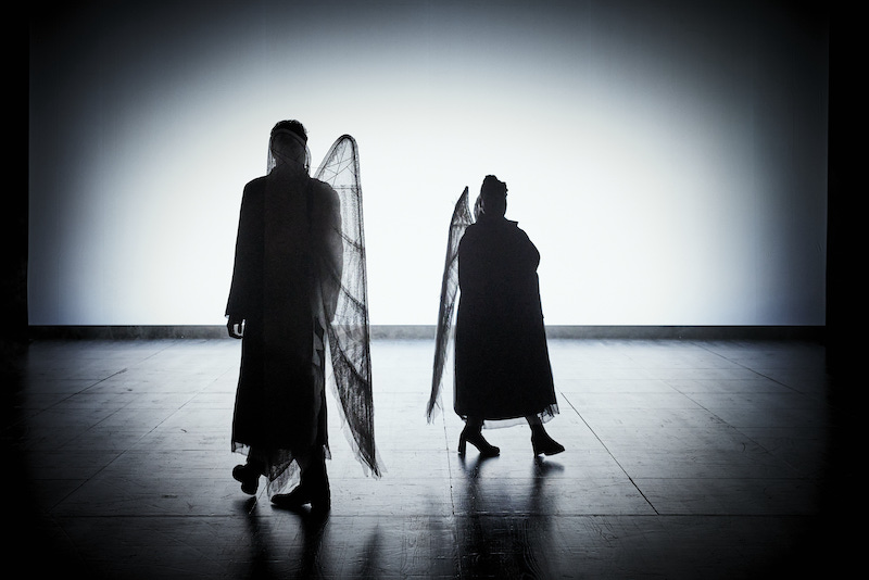 Les ailes du désir ©Christophe Raynaud de Lage