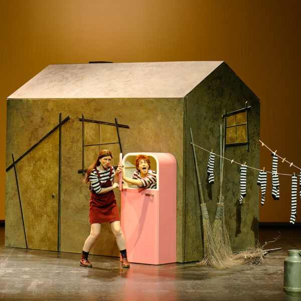 visuel spectacle HANSEL ET GRETEL copie